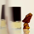 thumbnail image 3 of Perfume N.C.P 601 Ámbar y Madera de Gaiac Woody, 50 ml, vegano, 3 of 5