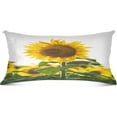 thumbnail image 2 of Beautiful Sunflowers Flowers Plush Pillow Case, Zippered Bed Pillow Pillowcases, Super Soft and Cozy Pillowcase Covers for Sleep Decor Giftsation - Standard Size 20x26in, 2 of 7