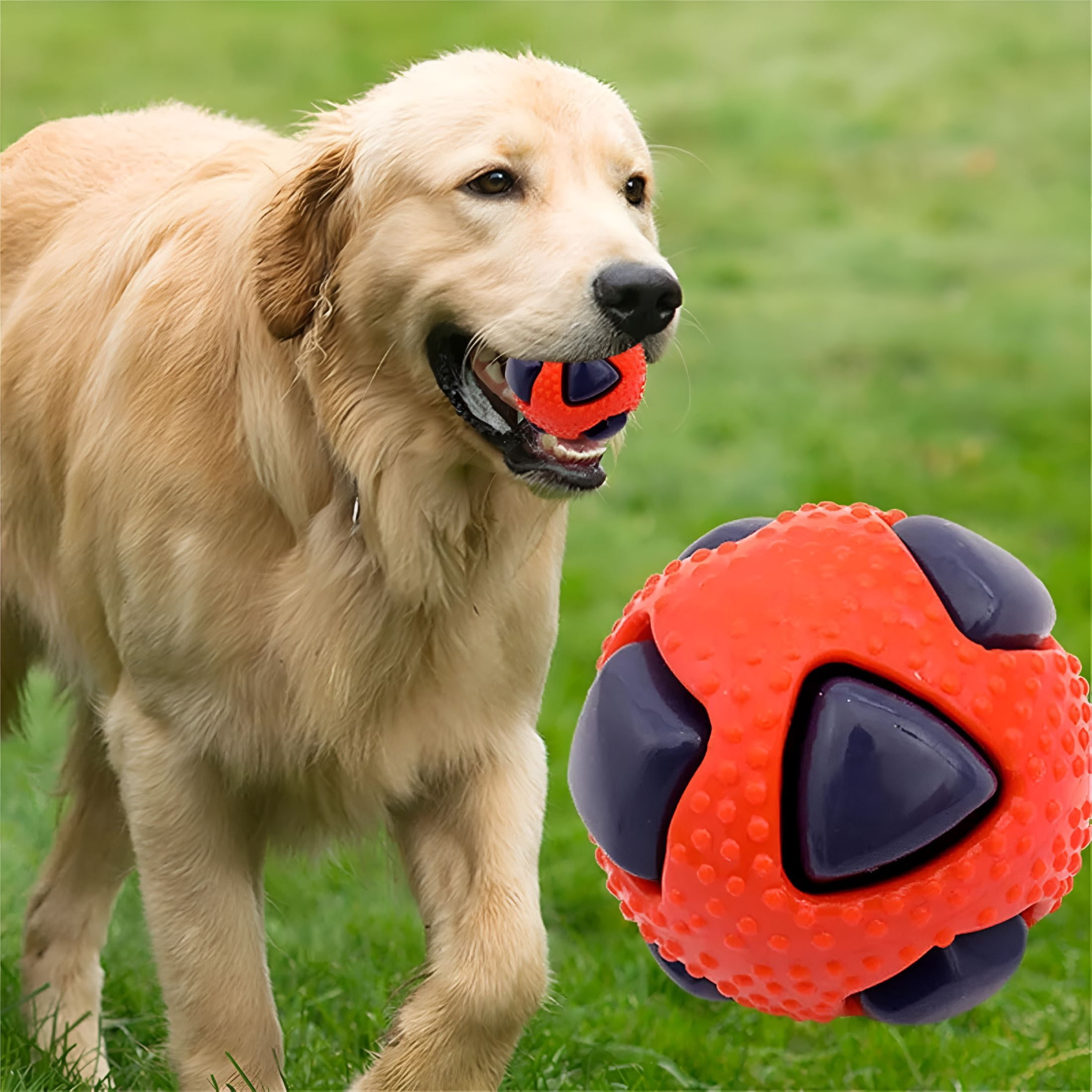 BESTSKY Puppy Chew Toy Balls, Long-Lasting, Anti-chew Pet Teething Toy That Relieves Boredom, Great for Small Dogs (Green Orange)