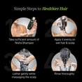 thumbnail image 3 of Nisha Avocado & Brahmi Oil Hair Shampoo for Silky, Shiny & Healthy Hair, 75 ml, 3 of 9