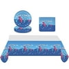Blue's Clues Birthday Party Supplies, 20 Plates + 20 Napkins + 1 Tablecover Birthday Party Themed Party Supplies Set