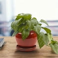 thumbnail image 2 of Southern Patio Wisteria 12 Inch Diameter Ceramic Planter Pot with Saucer, Red, 2 of 5