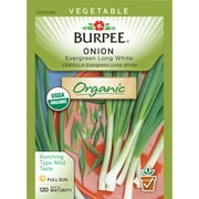 Organic Onion,Evergreen Long White Bunching
