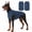Green, variant on Amztom Dog Winter Fleece Vest, Warm Thermal Home Wear with High Elastic Snug Fit, Soft Cozy Puffer Vest for Cold Weather, (Blue,M)