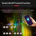 thumbnail image 3 of Smart WiFi Flood Light 30W 2000LM Regulable RGB Cambio de color 2700K-6500K Luces de escenario Func Tomshoo Luz de inundación, 3 of 7