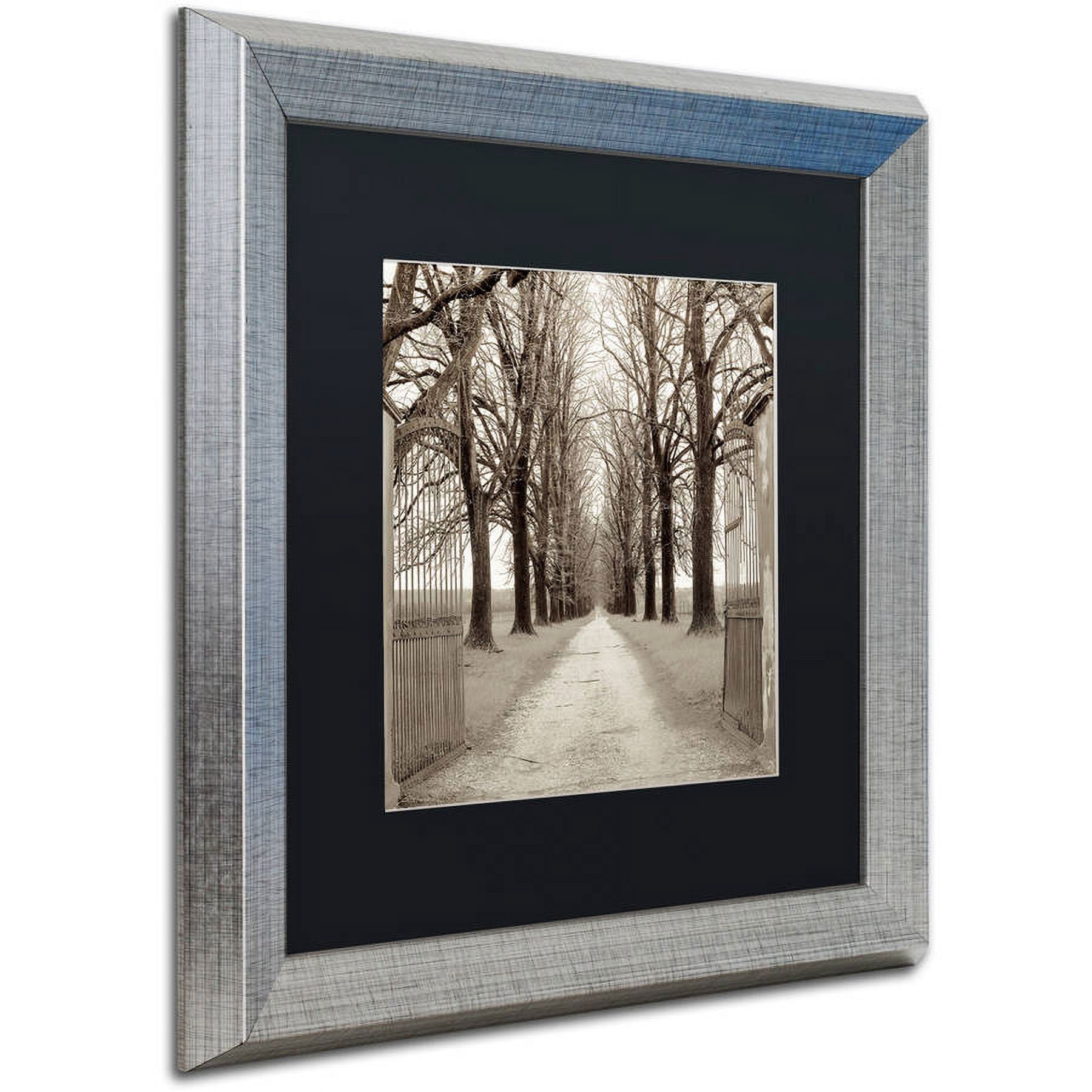 Trademark Fine Art "Veneto Giardini I" Canvas Art by Alan Blaustein, Black Matte, Silver Frame