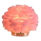 thumbnail image 1 of Lámpara de s, lámpara de noche para mitorio, lámpara de noche adecuada para iluminación suave Rosado Yuyangstore lámpara de noche de escritorio, 1 of 8