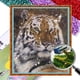 thumbnail image 1 of Molestia (1), 1 of 9