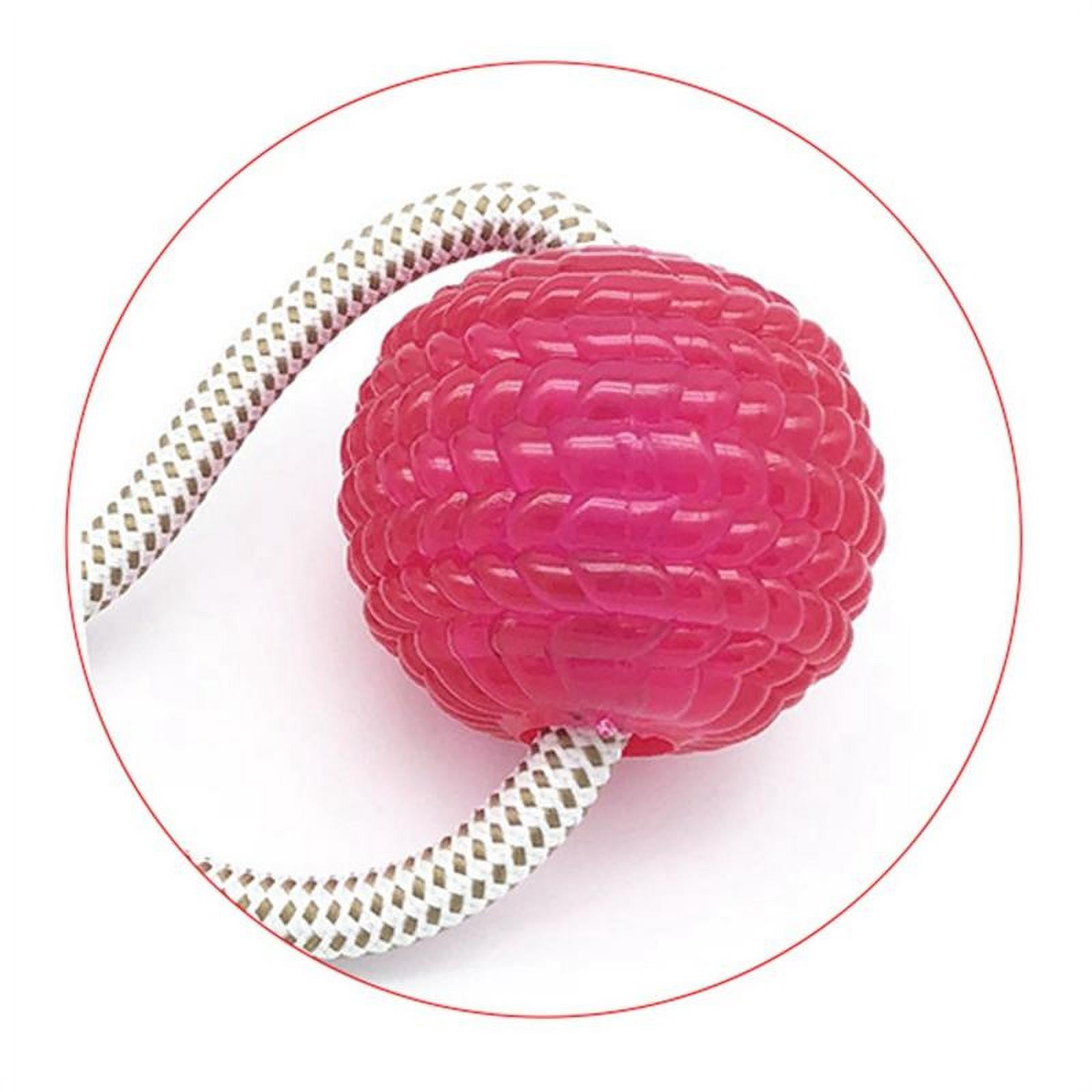 Litthing Dog Molar Bite Toys Self Play Rubber Ball,Pet Supplies Safe Puppy  Chew Toys with Suction Cup Rubber Molar Chew Teeth Cleaning Ball  Multifunction Intera…