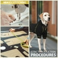 thumbnail image 7 of Kickred Basic Dog Hoodie Sweatshirts, Pet Clothes Hoodies Sweater with Hat and Leash Hole, Soft Cotton Outfit Coat for Large Medium Small Dogs(XL, Black), 7 of 7
