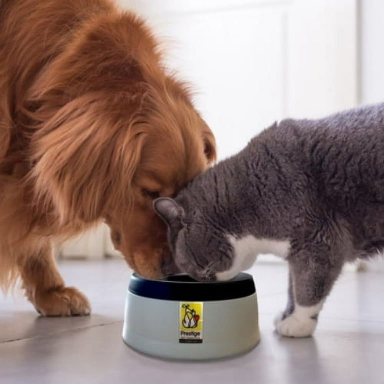 Road Refresher by Prestige Pets The No Spill Slobber Stopper