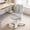 grey、orange, variant on NICOMAMA Kids Carbon Steel Home Bedroom Study Chair with Adaptive Lumbar Support and Flip-Up Armrests Office Chairs, Gray