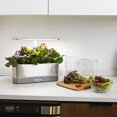 thumbnail image 2 of AeroGarden Harvest Elite Slim - Stainless Steel, 2 of 9