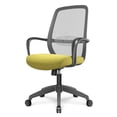 thumbnail image 1 of Silla de Oficina Ergonómica Deli Secretarial Giratoria Altura Ajustable Malla Elástica Color Verde, 1 of 9