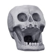 thumbnail image 1 of Alimentador De Animales Con Calavera 3D, Cabeza De Esqueleto Colgante De Pie, Alimentador De Aves De Corral, Alimentador Automático De Animales Con Temática De Halloween, Decoración Advancent PT000812-00, 1 of 7