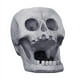 thumbnail image 1 of Alimentador De Animales Con Calavera 3D, Cabeza De Esqueleto Colgante De Pie, Alimentador De Aves De Corral, Alimentador Automático De Animales Con Temática De Halloween, Decoración Advancent PT000812-00, 1 of 7
