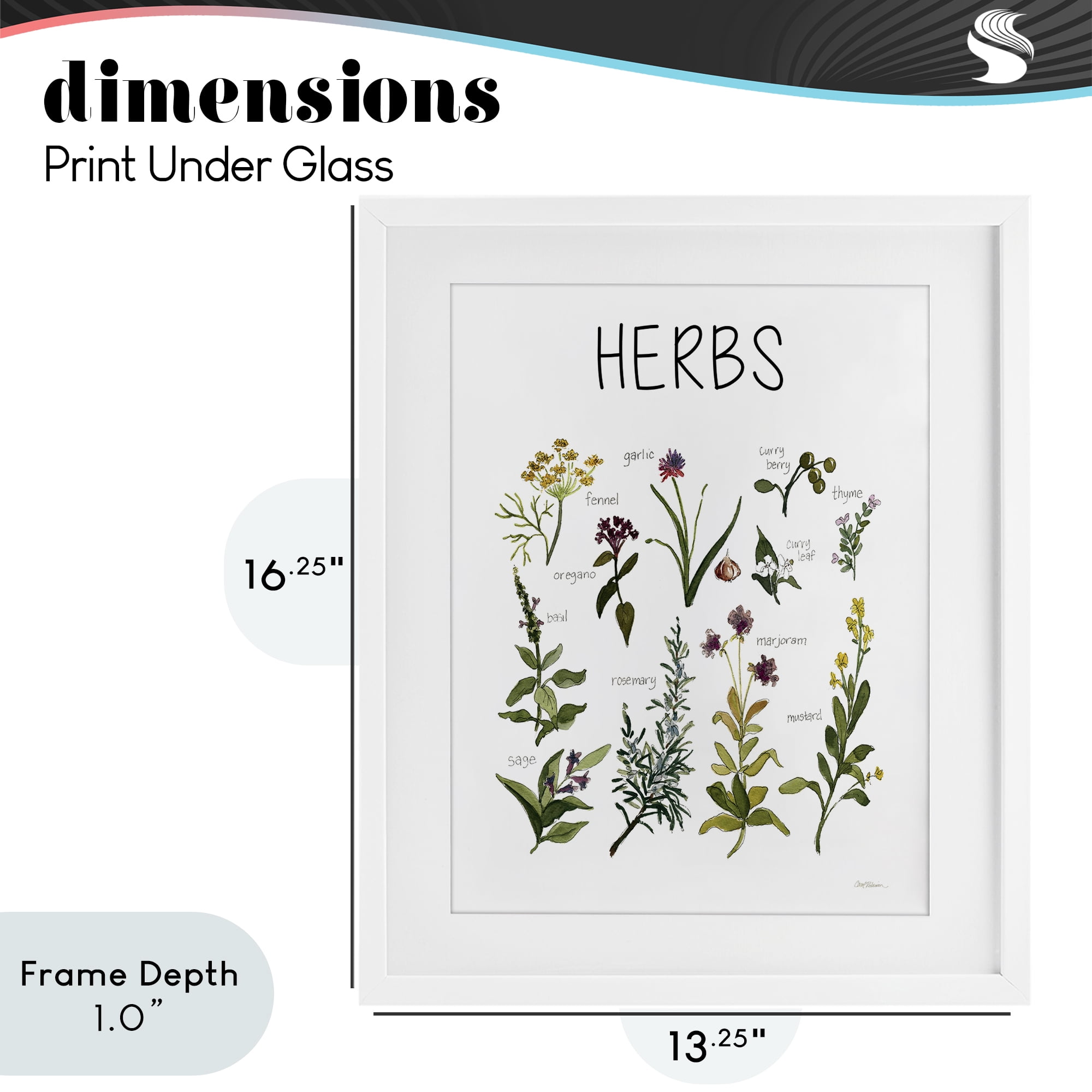 Stupell Industries Herbs Identification Chart White Framed Print Under Glass, design by Carol Robinson