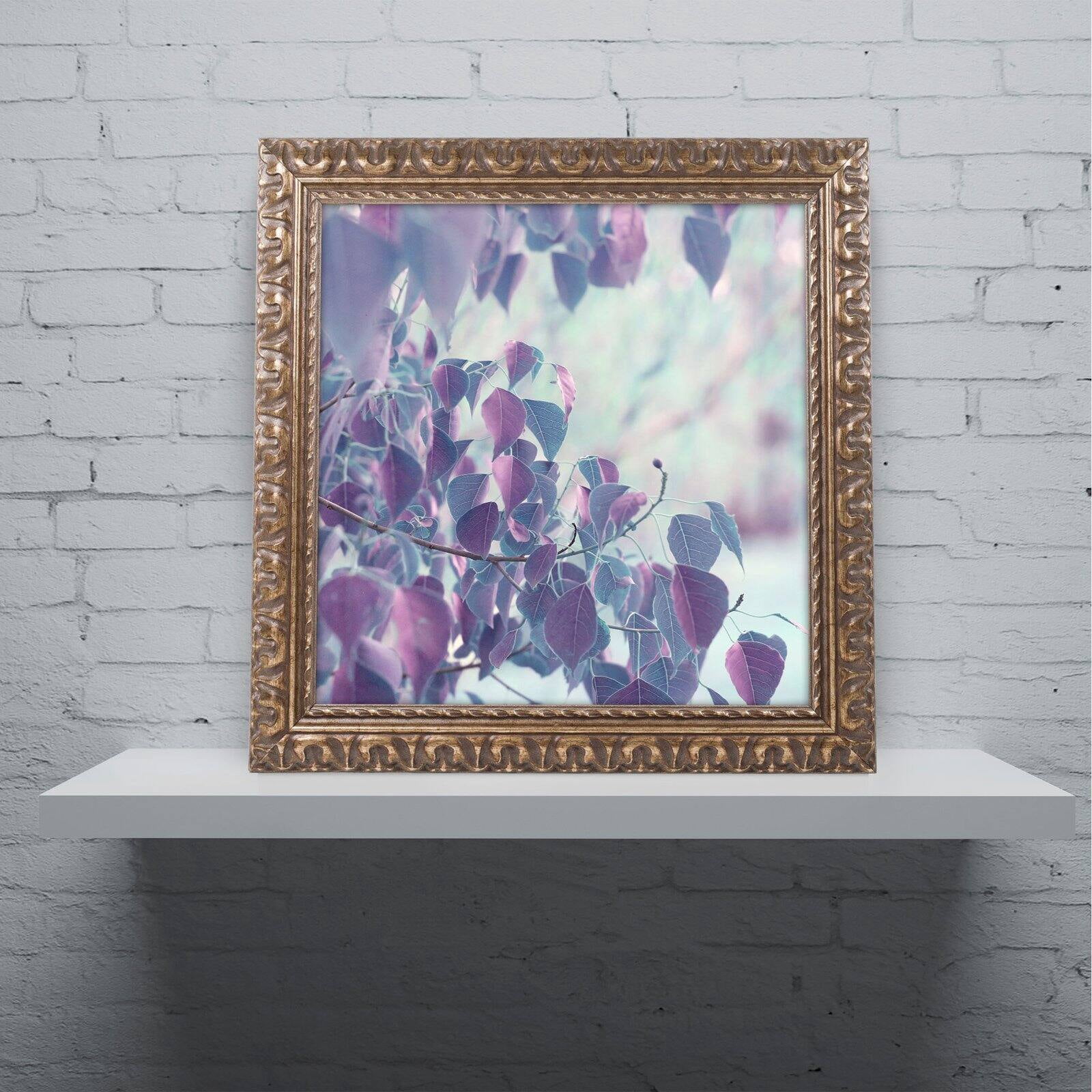 Trademark Fine Art "Summer Thoughts" Canvas Art by Beata Czyzowska Young Black Matte, Black Frame