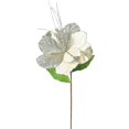 thumbnail image 2 of Vickerman 22" Champagne Amaryllis, 10" Flower, 6/B, 2 of 2