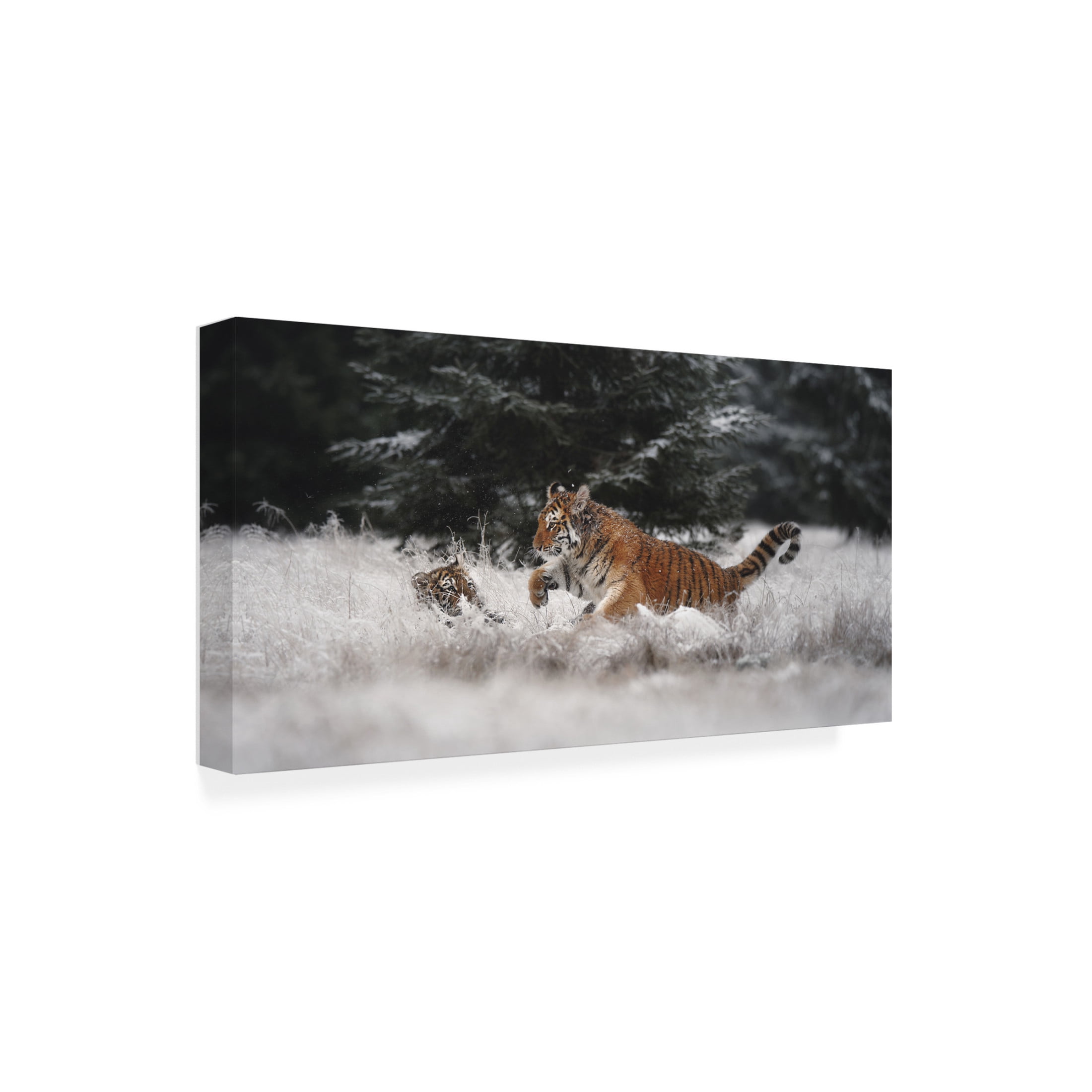 Trademark Fine Art Michaela Firesova Joy On The Snow Canvas Wall Art