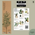 thumbnail image 4 of Maia Shop 3.5ft Artificial Olive Tree, Fake Plants for Home Decor, 4 of 9