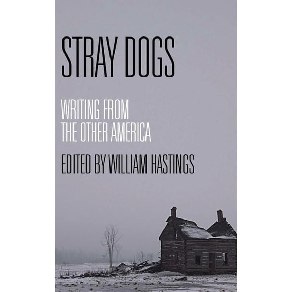 Stray Dogs: Writing from the Other America, (Paperback)
