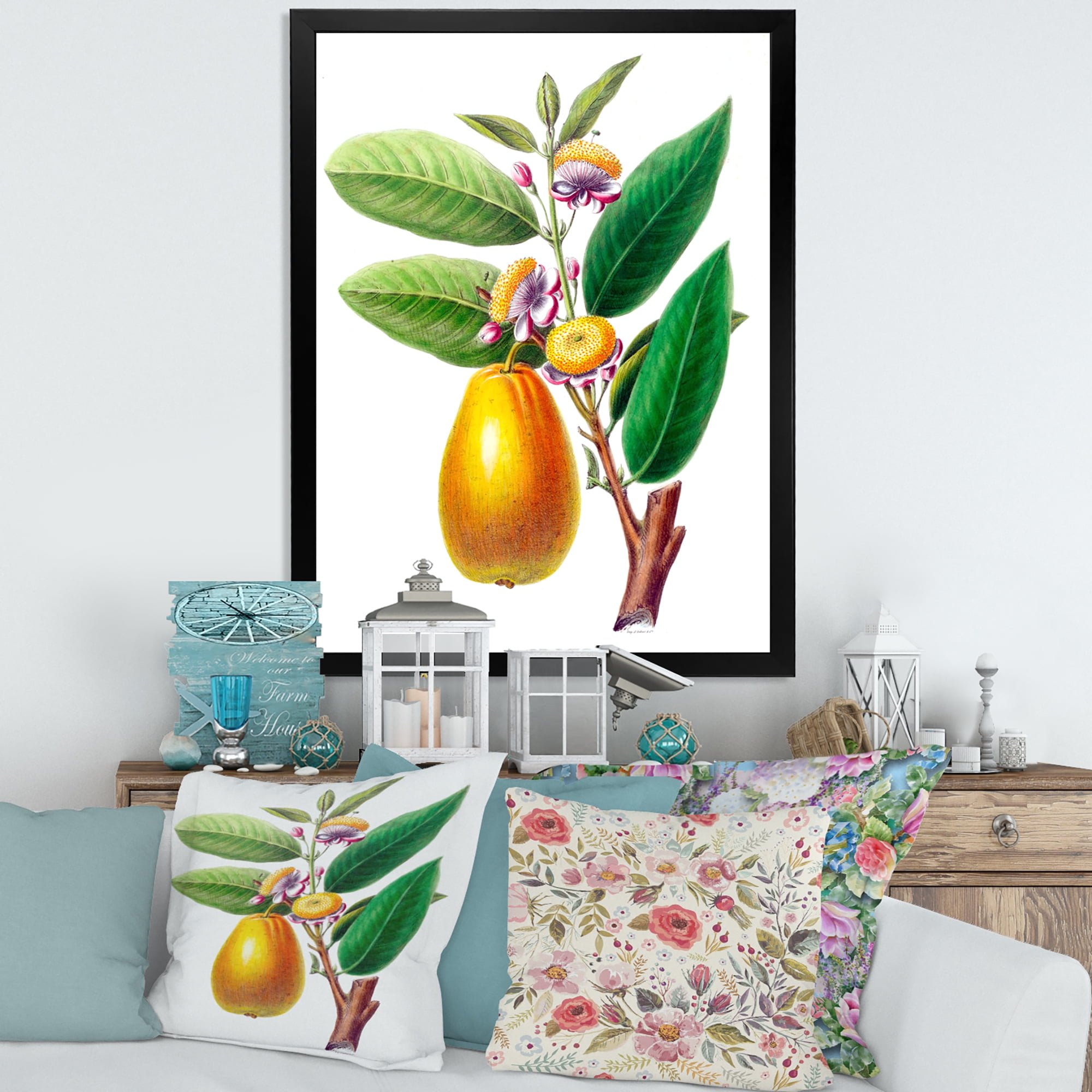 Designart 'Ancient Fruits I' Farmhouse Framed Art Print
