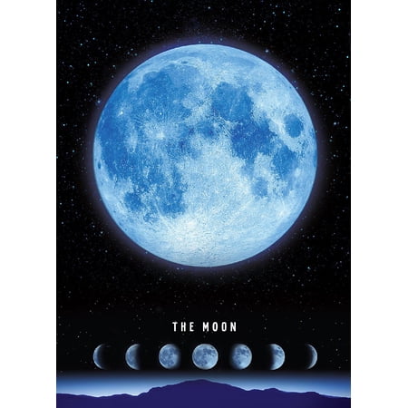 THE MOON 500 PCS price history on PriceWatchPro