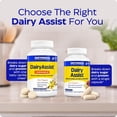 thumbnail image 6 of Enzymedica DairyAssist Chewable, Digestive Enzymes for Men & Women - Lactose Intolerance Support Supplement with Lactase, Helps Reduce Gas & Bloating, Gluten Free - 60 Tablets, 6 of 8