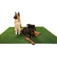 thumbnail image 1 of HLONK 41” X 30” Artificial Grass Patch for Dogs Potty Training  Washable Reusable Turf Grass Pee Pads for Small to Large Dogs, 1 of 9
