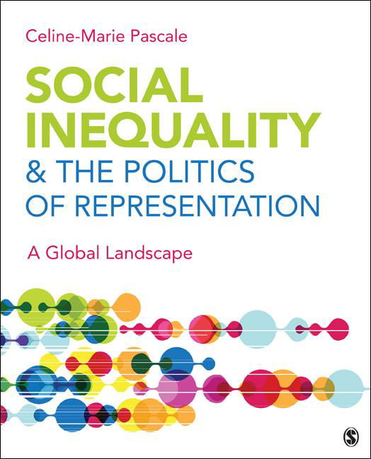 Social Inequality & the Politics of Representation A Global Landscape (Paperback) Walmart