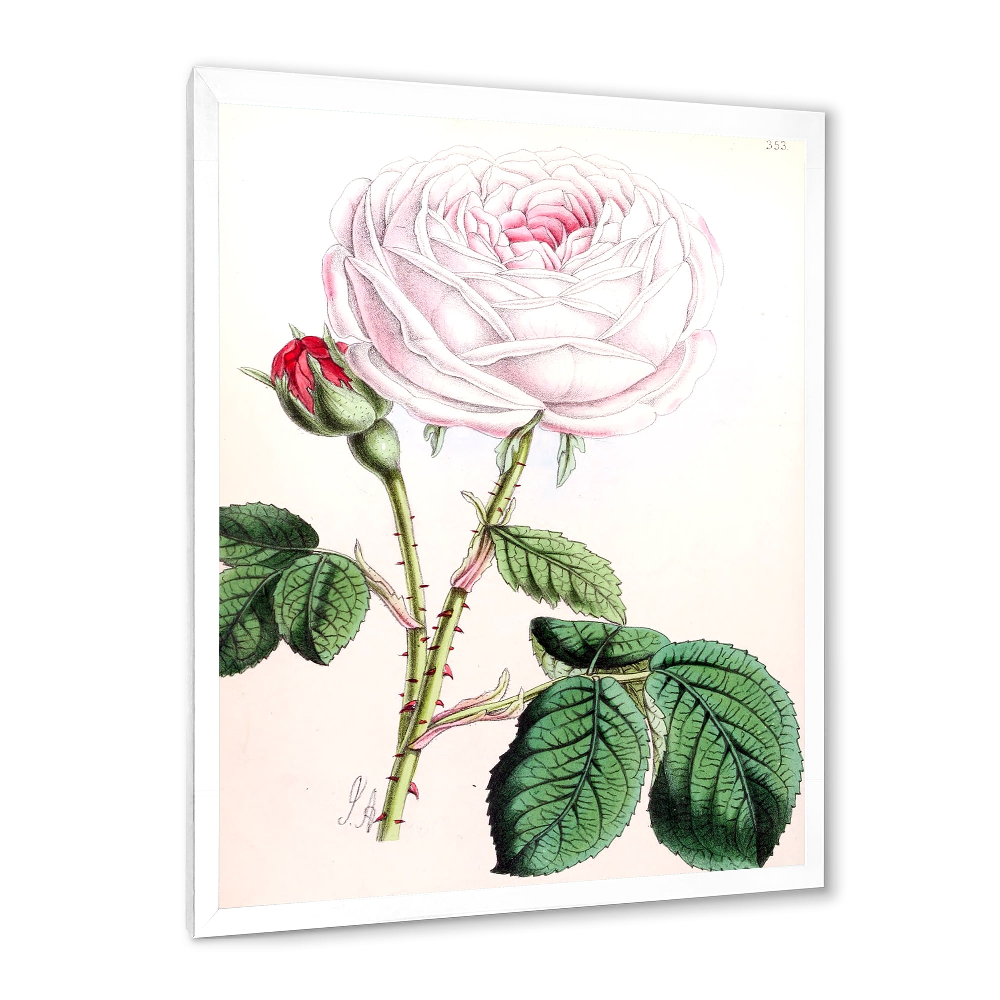 Designart 'Ancient Pink Flower' Traditional Framed Art Print