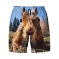 thumbnail image 4 of Lsque Mens Swim Trunks Close-Up Curious Squirrel Pattern - Bathing Suit Compression Liner - Beach Swim Shorts Swimwear - (S-3XL) - Stretch Quick Dry -3X-Large, 4 of 9