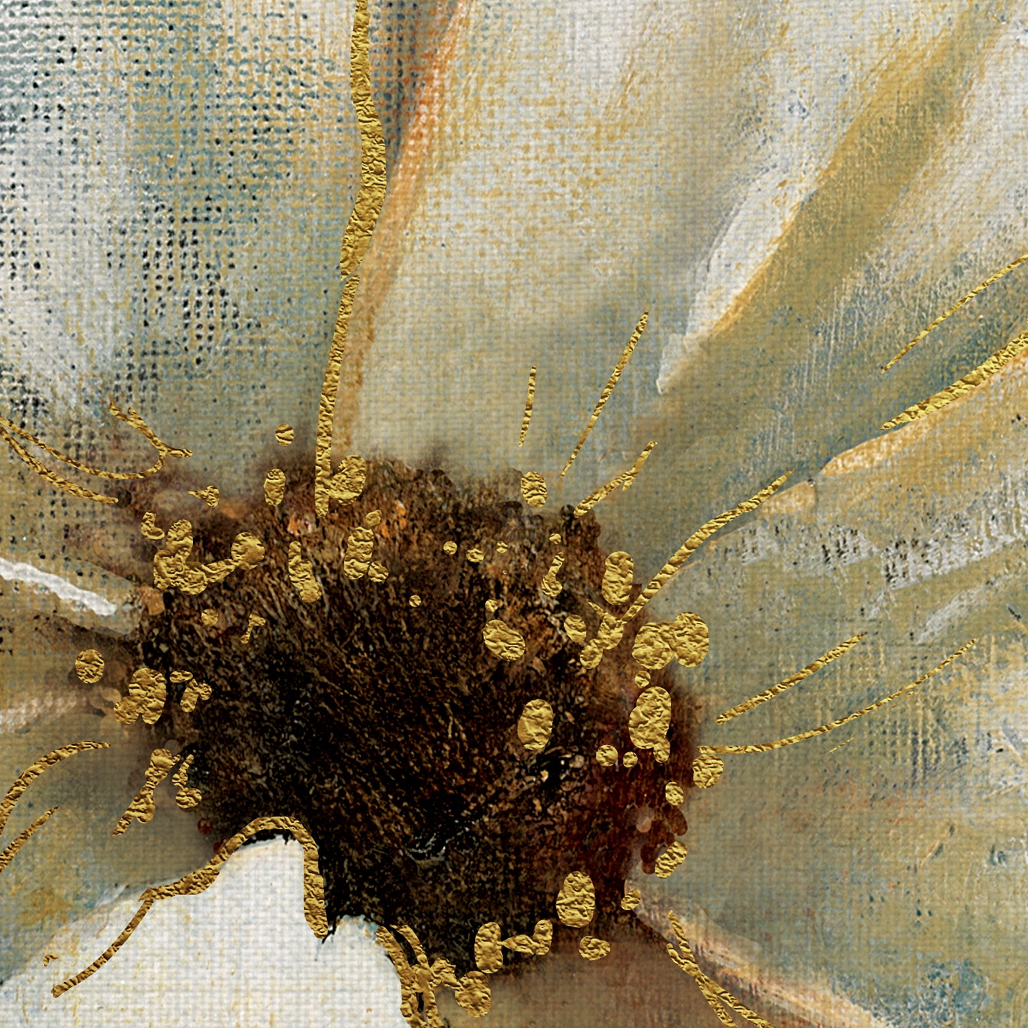 Masterpiece Art Gallery Golden Splendor I Anemone By Carol Robinson Canvas Art Print 30" x 30"