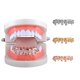 thumbnail image 3 of 18k parrillas chapadas en oro 10 dientes inferior parrilla de halloween cosplay oro Sunnimix Parrillas chapadas en oro de 18 quilates, 3 of 8