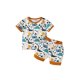 thumbnail image 1 of Trajes de verano para bebés y niños pequeños Camisa con estampado de dinosaurios Pantalones cortos superiores Conjuntos de ropa de algodón XBTCLXEBCO 4-5 años, Azul, 1 of 6