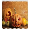 thumbnail image 3 of Ambesonne Autumn Pumpkin Shower Curtain, Jack O Lantern Carve, 69"Wx75"L, Orange Persian Orange, 3 of 3