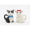 thumbnail image 3 of Ceramic Black and White Cat Salt and Pepper Shakers Gift for Cat, 3 of 3