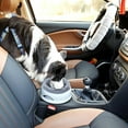 thumbnail image 3 of No más tazones para perros derramados con el hogar y los viajes, más pisos mojados. esquí esquí Gafas de esquí, 3 of 5