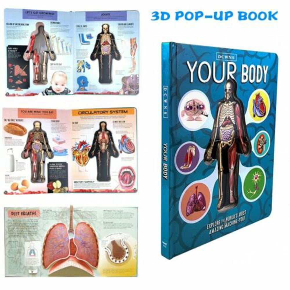 Human Body 3D Picture Book Anatomy of The Human Body in English Popular Science 
