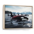 thumbnail image 2 of Designart "Majestic Orcas Black and Red Marine Animals" Marine Animals Floater Framed Canvas Print, 2 of 7