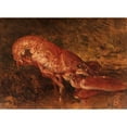 thumbnail image 2 of Félix Ziem 18x14 Black Ornate Wood Framed Double Matted Museum Art Print Titled - Still Lobster Nature, 2 of 5