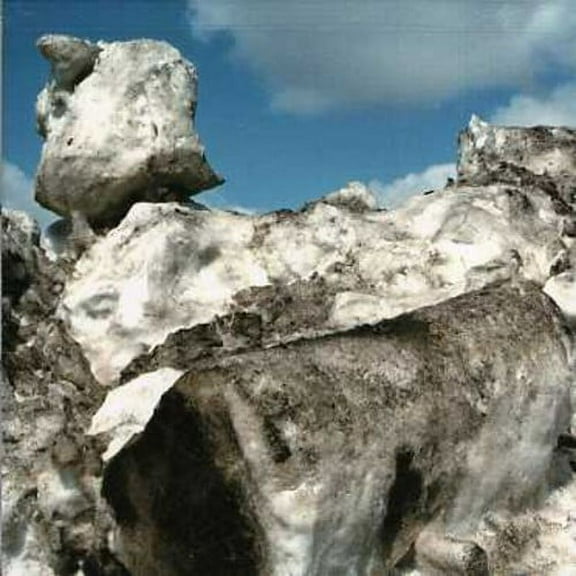 E*Vax - Parking Lot Music - Electronica - CD