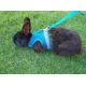 thumbnail image 2 of Arnes Pechera Para Conejo, 2 of 7