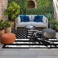 thumbnail image 2 of American Flag Outdoor Rug for Patio/Deck/Porch, Non-Slip Large Area Rug 3 x 5 Ft, Black US Flag Eagle Indoor Outdoor Rugs Washable Area Rugs, Reversible Camping Rug Carpet Runner, 2 of 8