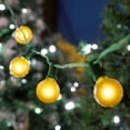 thumbnail image 6 of Novelty Lights 25 Feet Yellow G40 Globe Outdoor Patio String Lights, Green Wire, 6 of 6