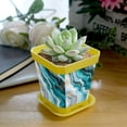 thumbnail image 5 of HemaKayy Decorative Planter Pot Set - Perfect for Small Plants - Colorful Design With Drainage Hole - Ideal for Home and Garden Decor - Set of 8 - Unique Marble Texture, 5 of 6