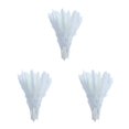 thumbnail image 1 of Billuyoard 15x Dried Pampas Grass Phragmites Reed Gift Decor Wedding Flower Bunch Home Type1 NO1, 1 of 1