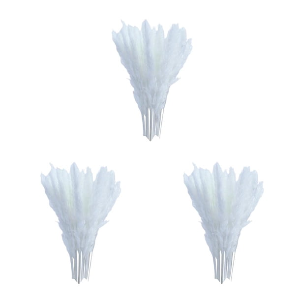 Billuyoard 15x Dried Pampas Grass Phragmites Reed Gift Decor Wedding Flower Bunch Home Type1 NO1