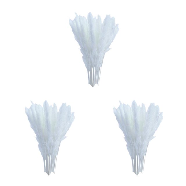 Billuyoard 15x Dried Pampas Grass Phragmites Reed Gift Decor Wedding Flower Bunch Home Type1 NO1